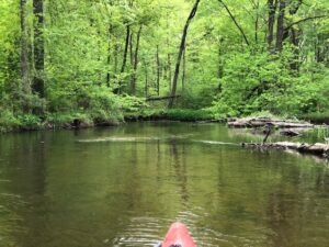 Shiawassee River