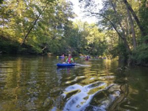 Learn to Kayak